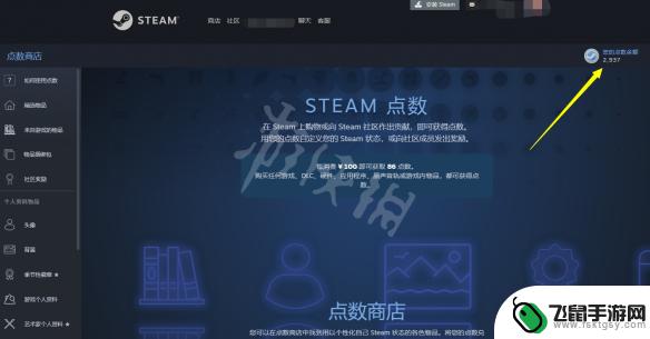 steam怎么看点数 Steam点数充值方法