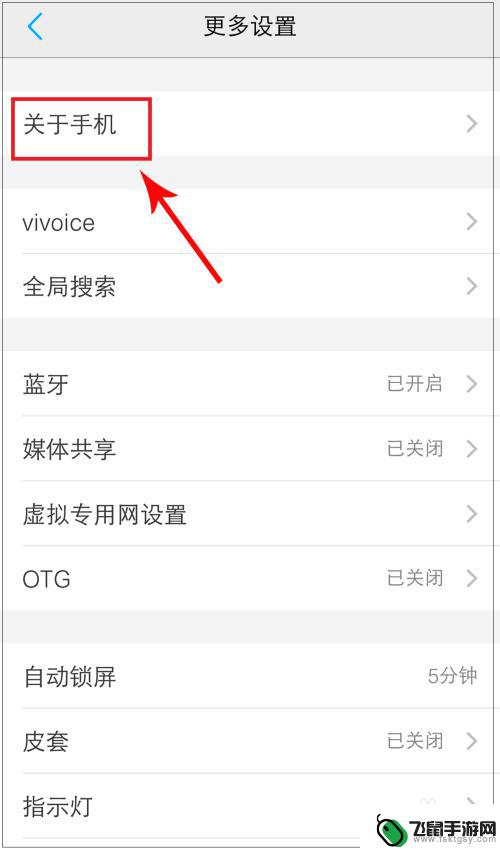 如何查询vivo手机配置 vivo手机设备信息怎么查看