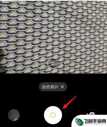 vivo手机动态拍照 vivo手机如何拍摄动态照片