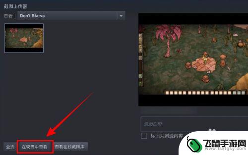 steam游戏截图在哪个文件 steam截图保存在哪里