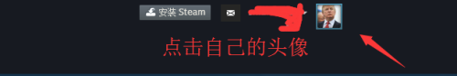 steam后缀url 如何查看自己的Steam的URL链接