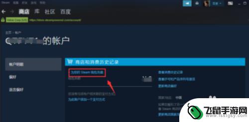 如何给steam充值任意数量 Steam如何充值任意金额