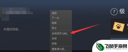 steam号怎么看 如何查看自己的Steam ID