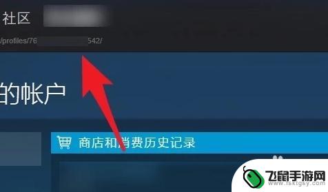 steam看id 如何找到自己的 steam id