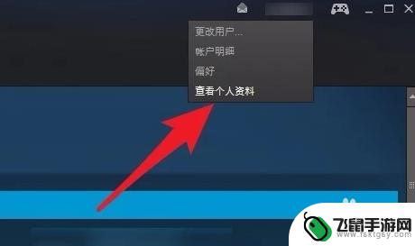 steam看id 如何找到自己的 steam id