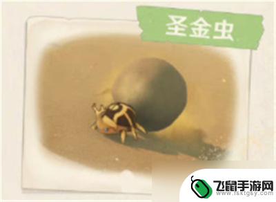 原神沙漠果子怎么打 《原神》3.1沙漠地图新增生物位置