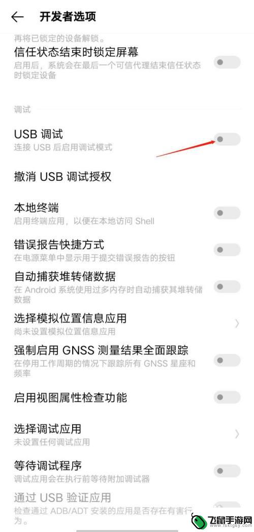 iqoo的手机功能测试在哪里 IQOO手机开启USB调试的方法
