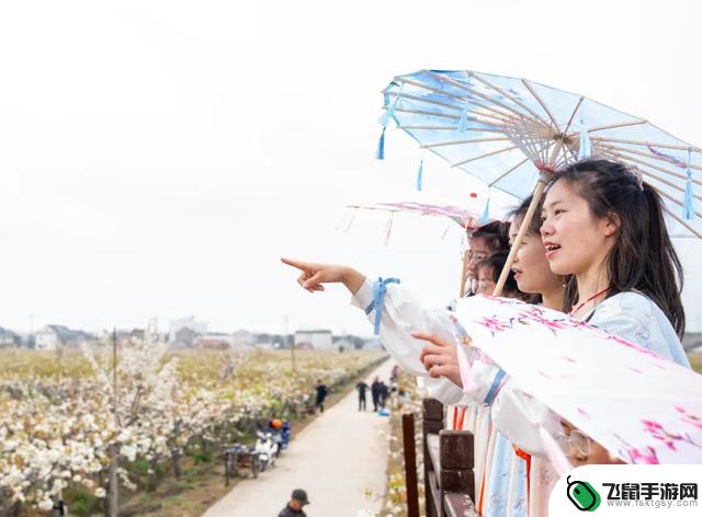 探索假期乐趣：花海赏游、户外探险、漫步自然、美食探寻，你喜欢哪种玩法？