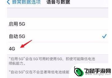 苹果手机4g 怎么设置 苹果12设置4G网络的教程