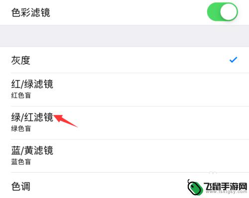 临摹视频色彩苹果手机怎么设置 iPhone手机如何打开色彩滤镜设置
