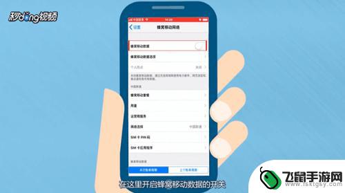 苹果手机X怎么开流量 iPhone手机打开移动数据怎么操作