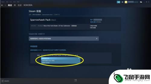 steam的dlc可以退款吗 Steam购买的DLC退款流程