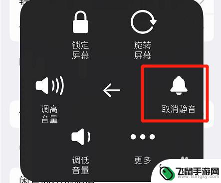 苹果手机打王者为什么没有声音 苹果手机玩王者荣耀没有声音是什么问题