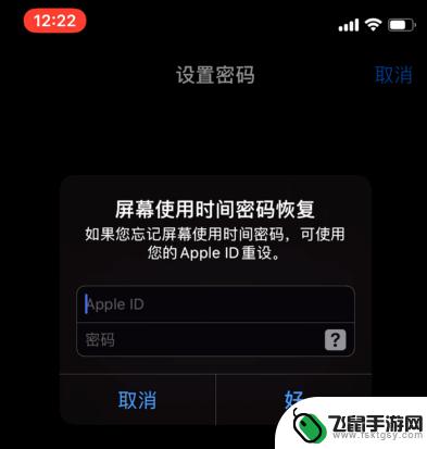 苹果手机如何给app设置密码锁 iPhone手机如何设置APP锁密码