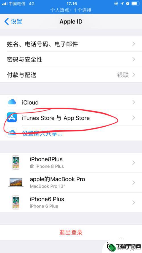 iphone手机id在哪里可以看到 iPhone手机怎么找到Apple ID号