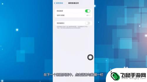 苹果手机切换4g5g网在哪里调 苹果13如何切换4G和5G网络