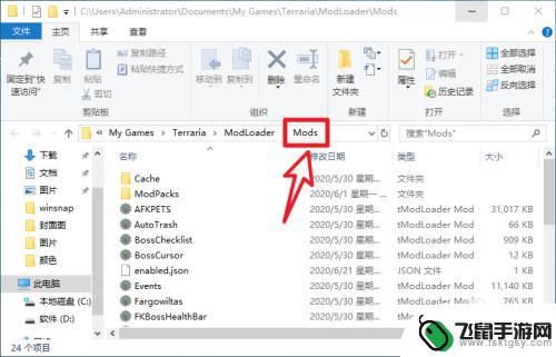 泰拉瑞亚模组怎么选择 泰拉瑞亚steam版如何使用mod