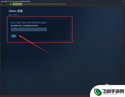 steam忘记了密码怎么办 如何在Steam上找回密码