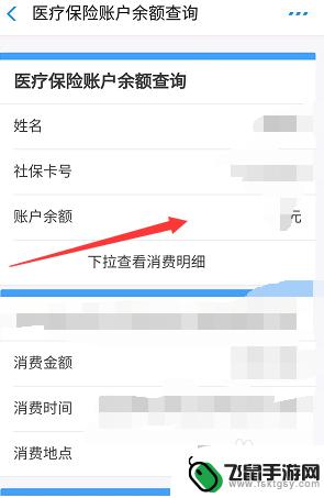怎么手机查医保钱数 如何在手机上查询医保余额