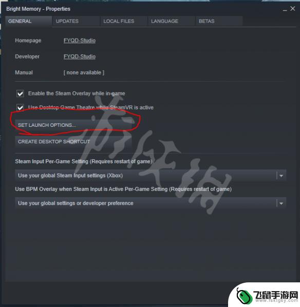 绕过steam vr 阻止《光明记忆》自动启动steamVR的教程