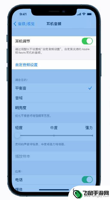 苹果手机音频桌面怎么设置 iPhone 12 音频和视觉参数调整技巧