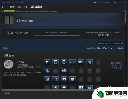 steam资料徽章怎么下 Steam如何查看自己的徽章中文教程