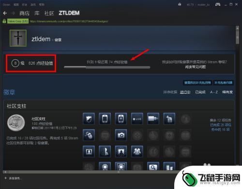 steam资料徽章怎么下 Steam如何查看自己的徽章中文教程