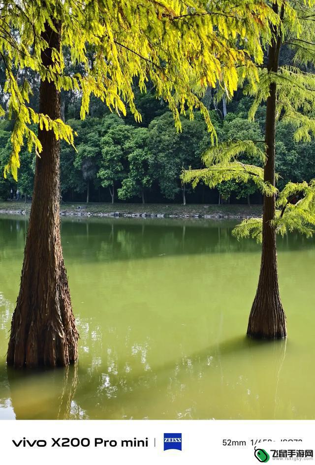 今年手机市场，小屏旗舰竞争激烈，大乱斗不可避免