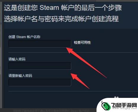 steam电子邮箱地址怎么填写 Steam创建账号时电子邮件地址填写要求