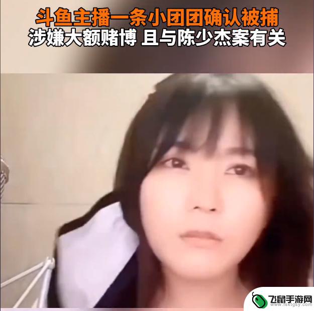 小团团被捕，语音包下架，事件闹得沸沸扬扬