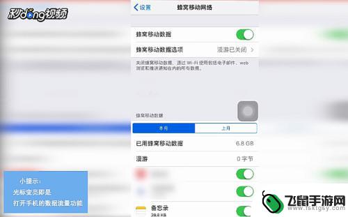 平果手机怎么开流量 苹果手机如何开启数据流量