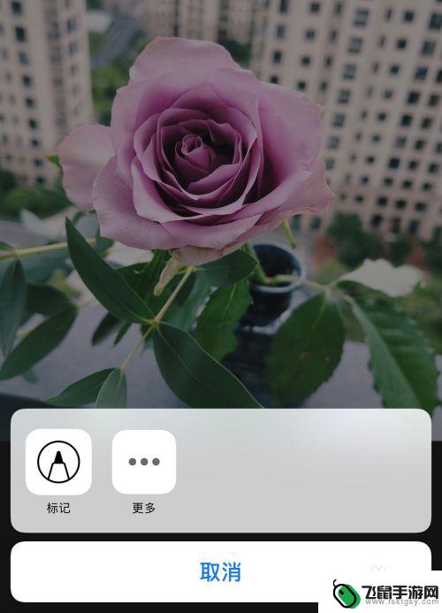 怎么设置手机原图标记 苹果手机怎么在照片上画圈指导