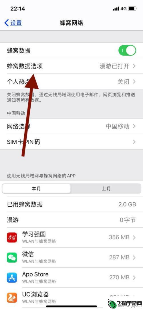 苹果手机怎么开启漫游功能 苹果手机如何开启国内数据漫游