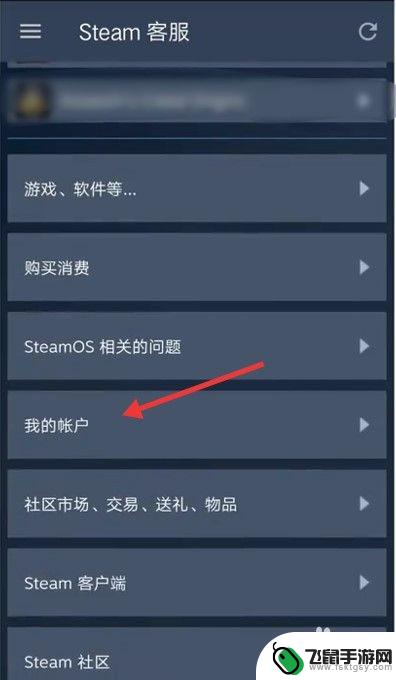 如何在手机上修改steam密码 steam账号密码手机怎么修改