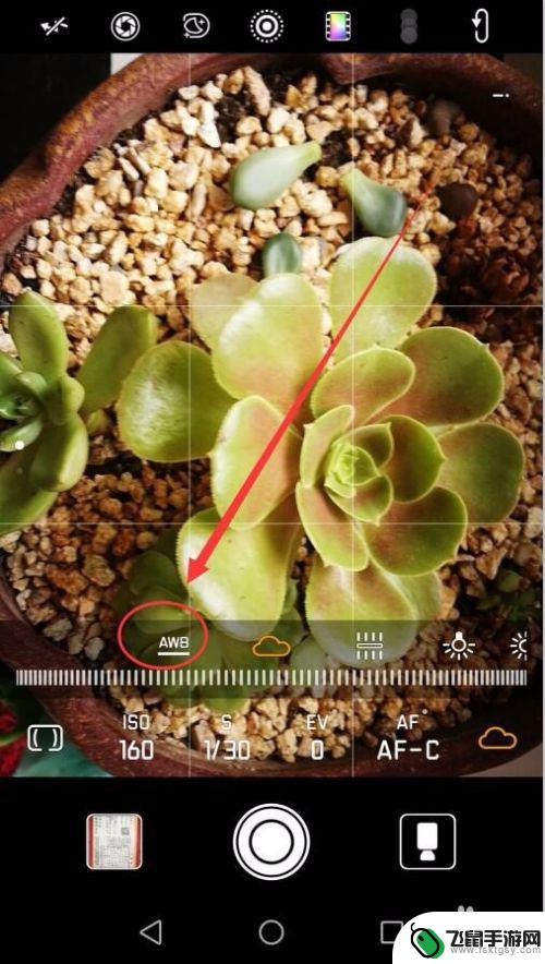 手机怎么查设置白平衡多少 手机白平衡设置方法