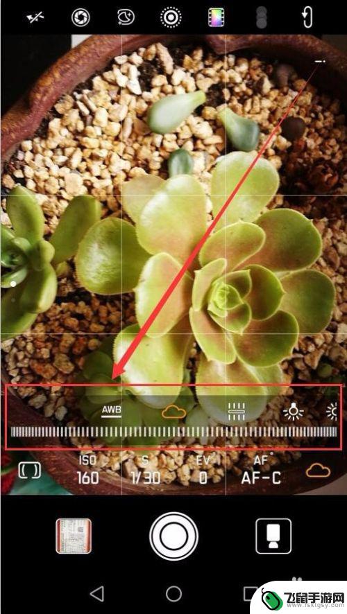 手机怎么查设置白平衡多少 手机白平衡设置方法