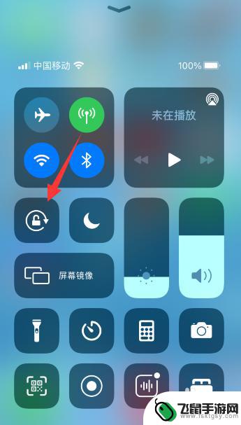 全面屏手机怎么不旋转 苹果11屏幕旋转设置教程