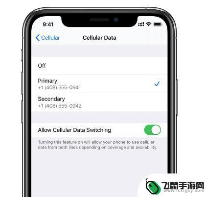 苹果手机卡的标签怎么看 iPhone 11/11 Pro 主卡和副卡区分步骤